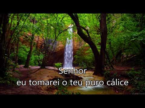 Gratidão - Armando Filho