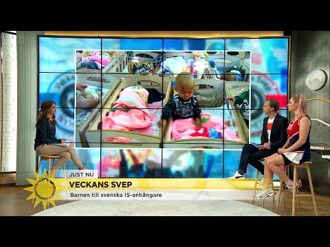 Veckans nyhetssvep:"Omfattande klimatdemonstrationer över hela Europa i veckan" - Nyhetsmorgon (TV4)