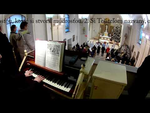 JKS 219 - Leť, prosba naša