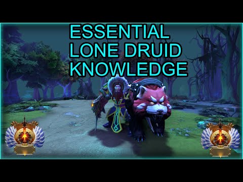 Jawker's lone druid fundamentals : 5 tricks you should know