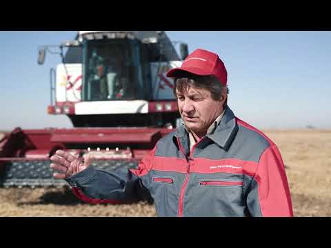 Платформа-подборщик Swa Pick