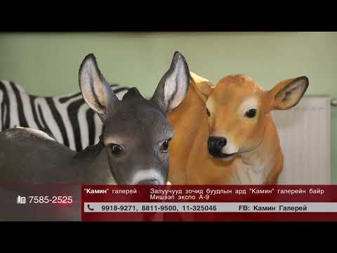 Kamin galarei 01 26 2021 end