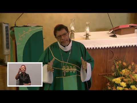 Gospel and Homily - 8th September 2019