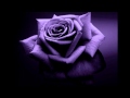 Amor Ardiente (Maya Andina )