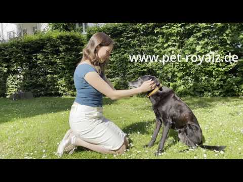 Bestandteile des Medical Security Kits von Pet Royalz by Tierärztin Dr. Dominique Tordy