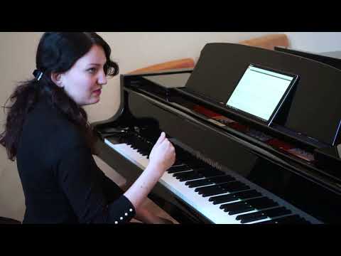 LAND SALZBURG - JAHRESSTIPENDIUM 2018 Katrin Klose