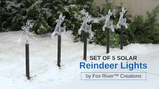 Solar Reindeer Stake Lights by Fox River Creations | Miles Kimball