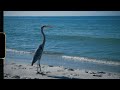 And We Ll Fly Cinema Journal Super 8mm Film