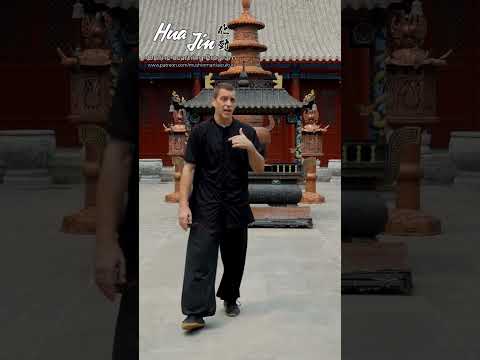 Snake Style Kung-Fu - Coiling & Uncoiling🐍