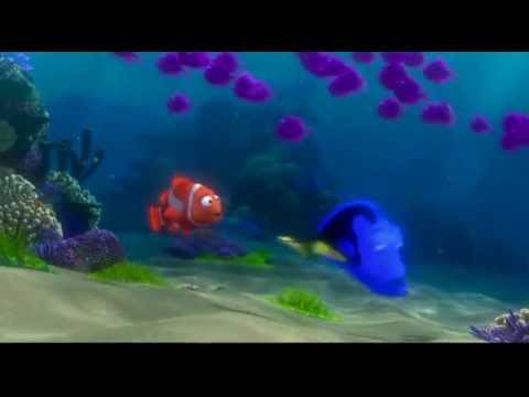 ذاكرة السمــــك -MoOoka هنا hana