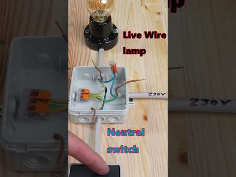 Lichtschalter richtig anschließen! #elektriker #strom #taster #tutorial #diy #short #anleitung