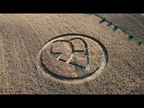 Lazer Vision - Tktk Wire