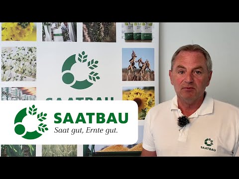 SAATBAU ACKERdemie Herbstanbau Winterroggen | SAATBAU LINZ