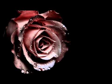 Roger Subirana Mata -  Between Worlds ´-