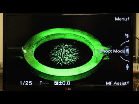 Caltech Introductory Physics Lab (PART 2): How the Electrodynamic Ion Trap Works