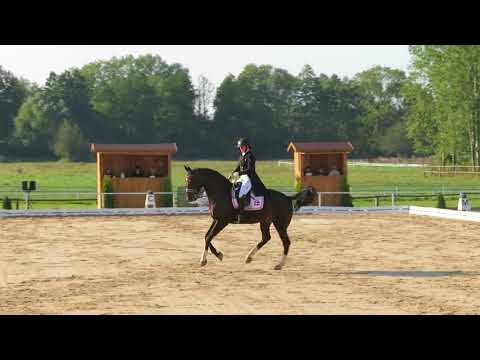Cracker Jack - Emma Skov - CDI Janow Podlaski - CC-6 - Freestyle Young Riders