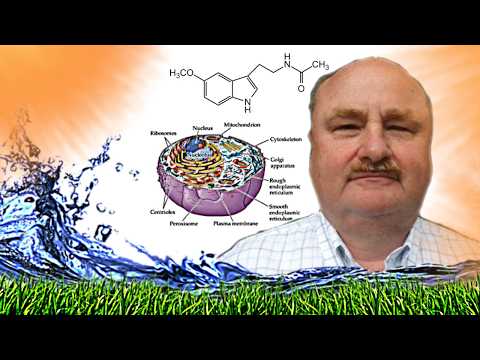 Being Outside Is Really Healthy (Light Expert Scott Zimmerman)