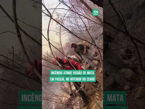 Incêndio atinge região de mata em Pacujá há uma semana e devasta área de 7 km; veja vídeo