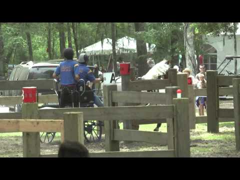 Judy Fryer Obstacle 7 Live Oak International CAI 2011