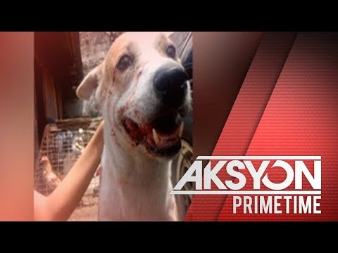 Bahay remedyo upang mawala ang timbang Ilang porridge sa umaga kapaki-pakinabang para sa pagbaba ng timbang