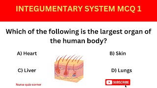 Integumentary System Practice Quiz/MCQs
