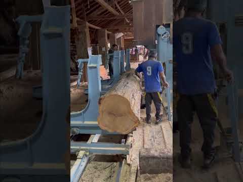 40 feet length nilambur teak sawing #teak #woodwork #wood #timber #carpentry #wooddesign
