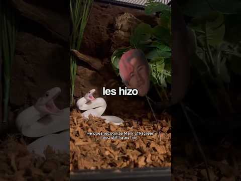 Las serpientes lo odian... 💀