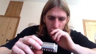 HOW TO PLAY BLUES WITH A FEELING LITTLE WALTER HARMONICA LESSON