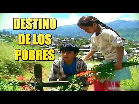 EL DESTINO DE LOS POBRES - Película Completa - NUEVO