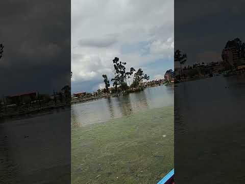 #lago #achocalla #la paz Bolivia