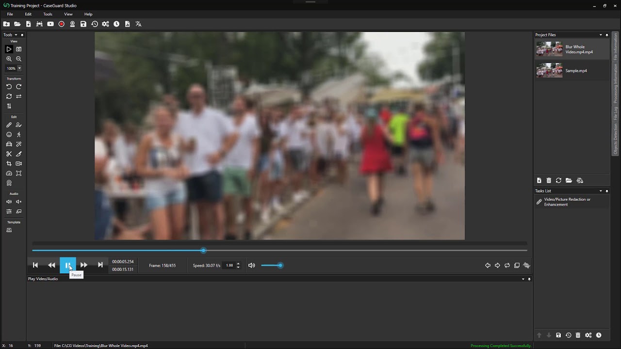 Blur Whole Video Using CaseGuard Studio