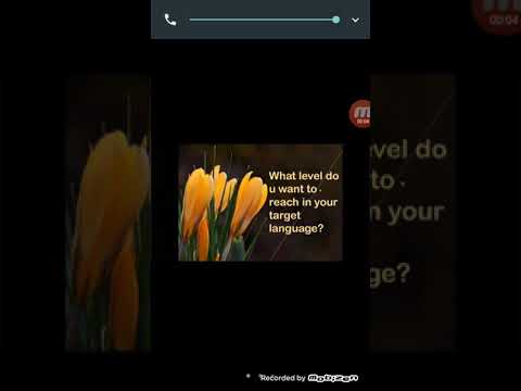 What level do you want to reach in your target language - Day9- Learning English