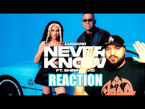 💥SHIRIN DAVID AUF DRILL BEAT ! ?💥 ICE-T x COCO ?🤔 LUCIANO feat SHIRIN DAVID - NEVER KNOW REACTION