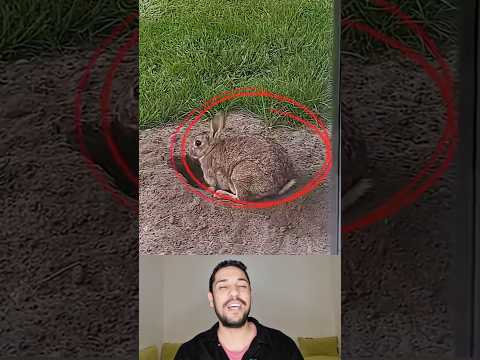 الأم وما أدراك ما الأم❤️❤️