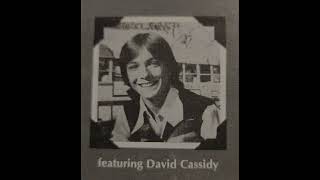 The Partridge Family Album Somebody Wants to Love You