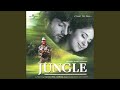 Jaan Jungle Soundtrack Version