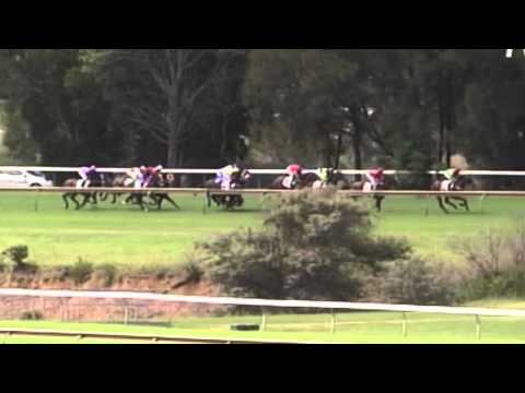 2005 Vinery Stud Stakes- Hollow Bullet