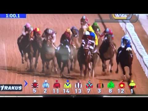 The Dubai World Cup 2017 - Won by Arrogate