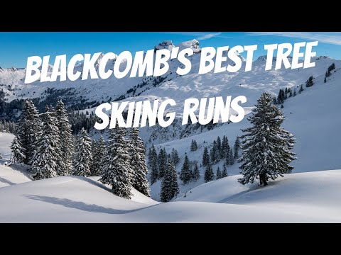 The Best Tree Skiing Runs on Blackcomb | Whistler Blackcomb Ski Guide