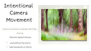 Intentional Camera Movement Shutter Speed Choices for Impressionist Image Making