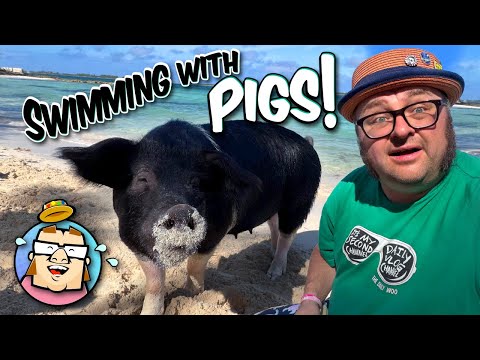 Swimming with Pigs - Pirate Museum - Straw Market - Nassau, Bahamas - Cruise Day Three