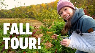 Your Lazy Garden Starts NOW! | FULL Fall Garden Tour 2023!