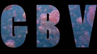 Guided By Voices - Jellyfish Reflector [PCB video]