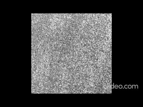 La Session House / Disco & Pop Special Summer 2024 / Ich liebe Gemüse