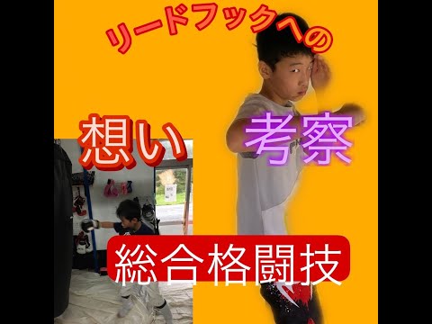 12歳が考察！　総合格闘技　リードフックのカウンター