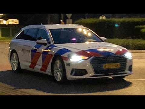 Showtje van Audi ( SIV )