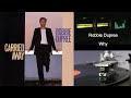 Robbie Dupree  /  Why (1989)