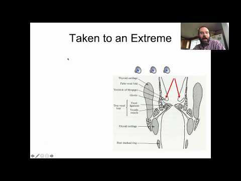 Ling 441 - Advanced Phonetics - Voice Quality, part 1