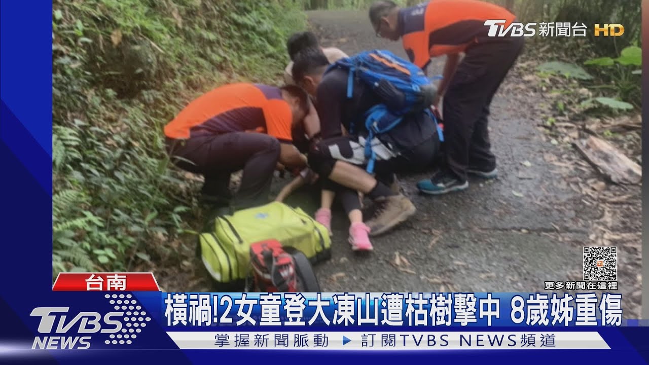飛來橫禍!與父母登大凍山2女童遭枯樹擊中 8歲姊重傷