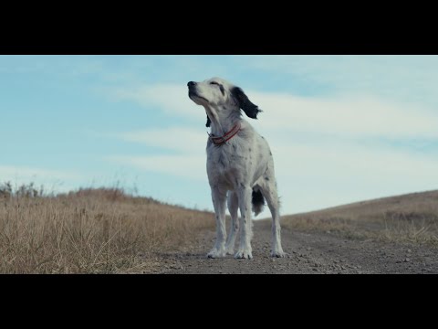 ORVIS Presents: COPA